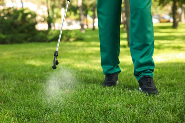 Professional Pest Control in Grafton, OH