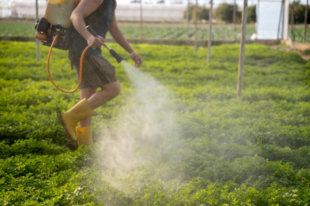Best Exterminator Services  in Grafton, OH