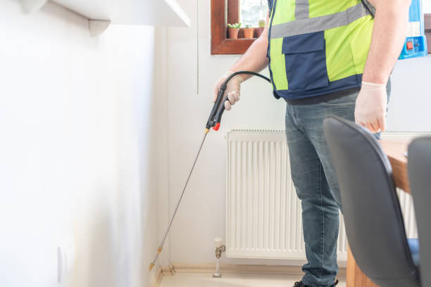 Wasp Removal Services in Grafton, OH