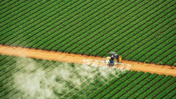 Best Pest Prevention Services  in Grafton, OH