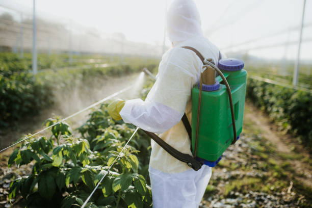 Best Local Pest Control Services  in Grafton, OH